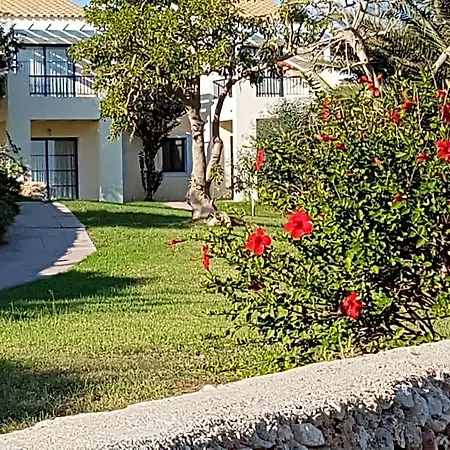 Primasud Hotel apartamentowy Punta Prima (Menorca)